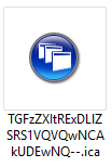 Thumbnail image of the Citrix laucher file
